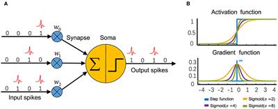 Direct training high-performance deep spiking neural networks: a review of theories and methods
